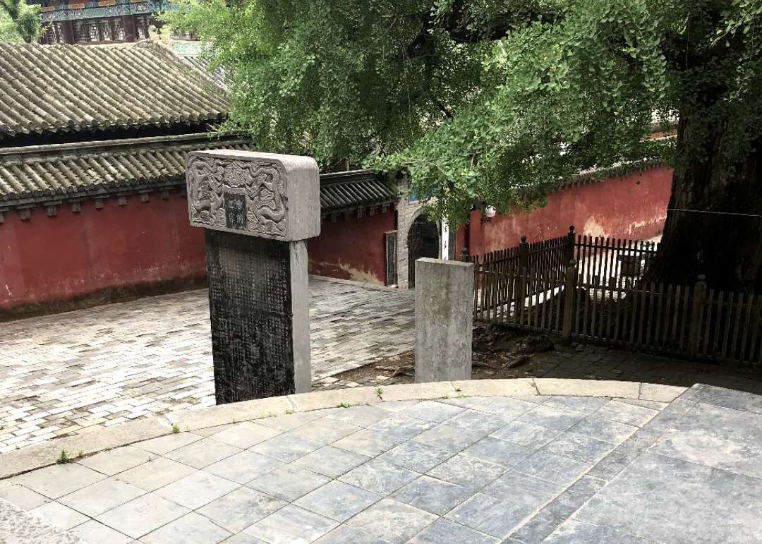 微信图片_20200308104909.jpg